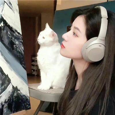 猫咪情缘